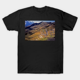 Near Grindelwald, Switzerland T-Shirt